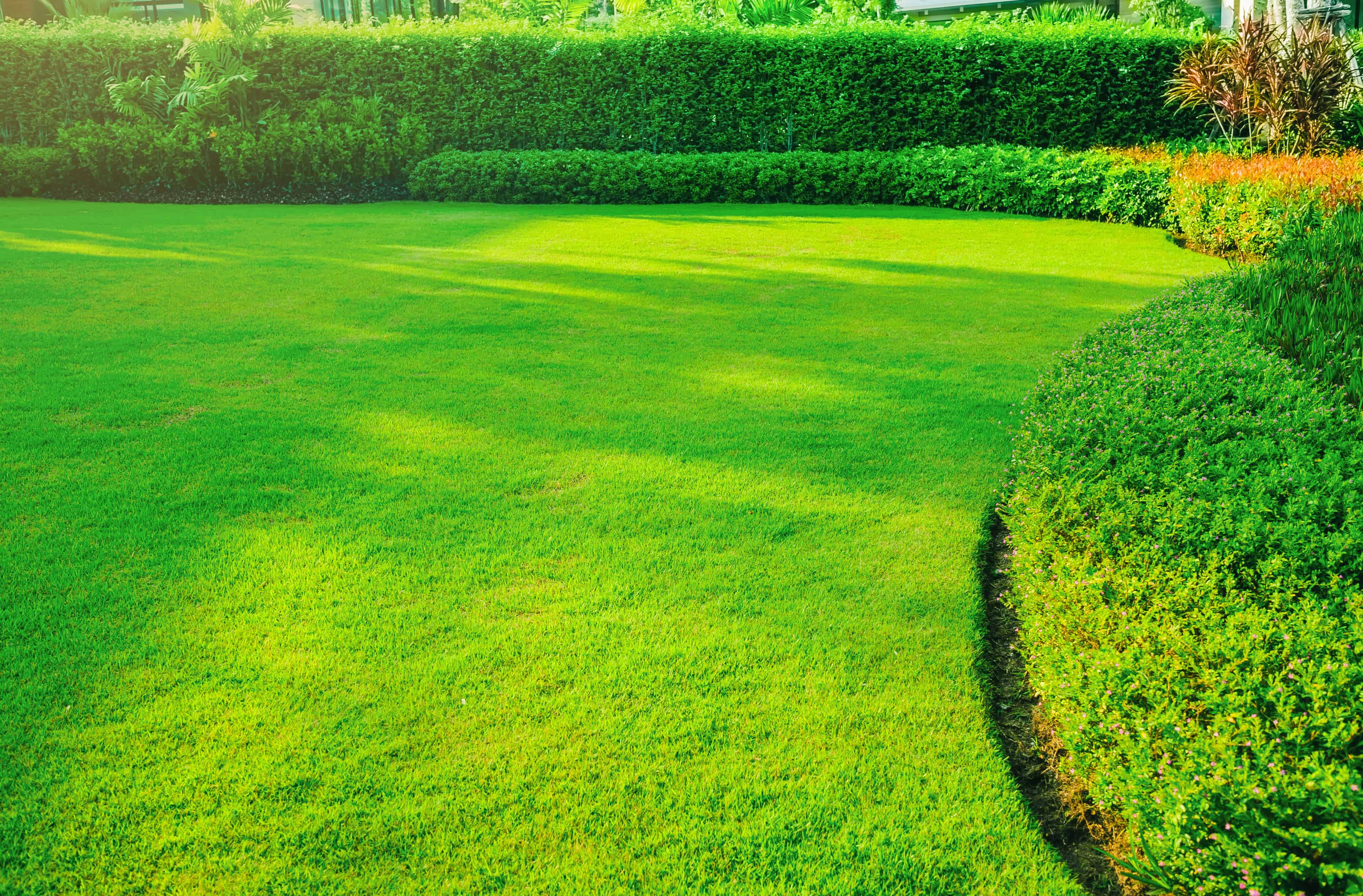 Yard Prep image