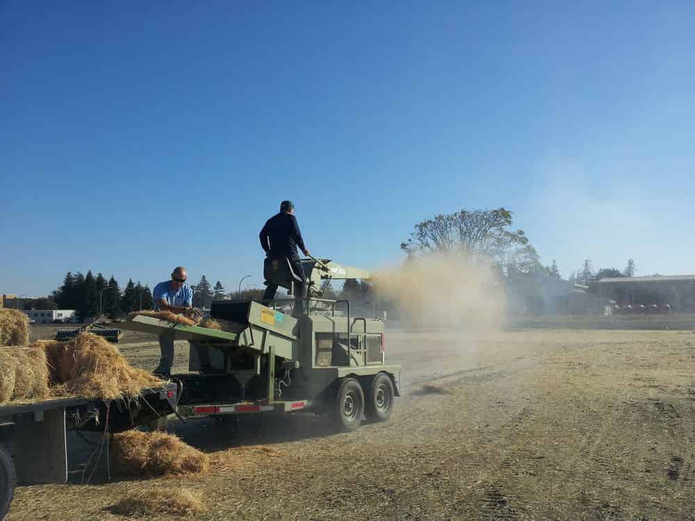 Straw Blowing image